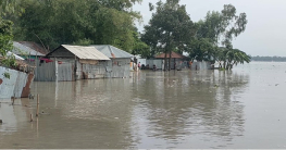 উজানের ঢলে প্লাবিত উত্তরের ৪ জেলা